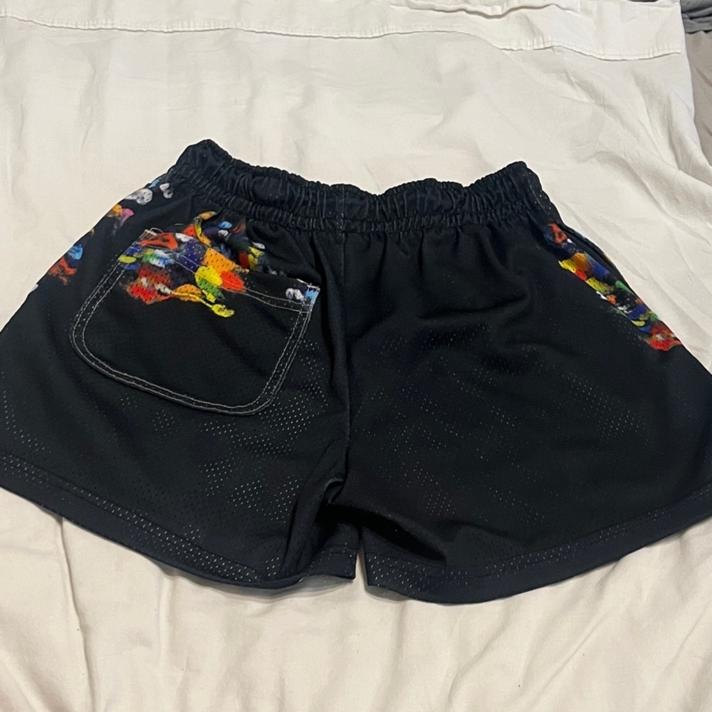 RARE Ryoko Rain Mesh Shorts School for Artists and Athletes Collection - Picture 7 of 7